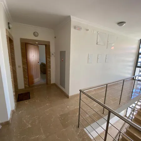 High Quality T2 In Smp